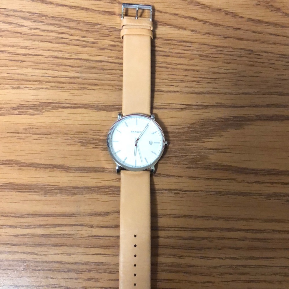 Mens Skagen watch
